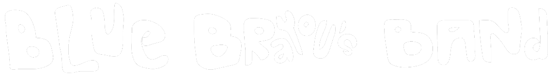 Blue Brayou's Band Pop Rock Lille